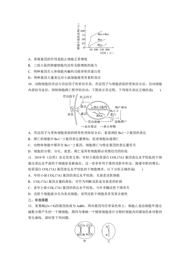 二轮专题强化练　训练3　细胞的生命历程_通用版（老高考）复习资料_2023年复习资料_二轮复习_2023年高考生物二轮复习讲义+课件（全国版）_2023年高考生物二轮复习讲义（全国版）_学生版