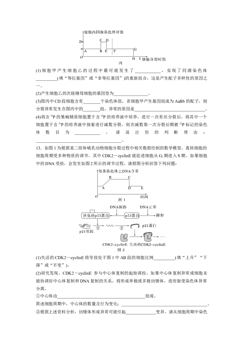 二轮专题强化练　训练3　细胞的生命历程_通用版（老高考）复习资料_2023年复习资料_二轮复习_2023年高考生物二轮复习讲义+课件（全国版）_2023年高考生物二轮复习讲义（全国版）_学生版