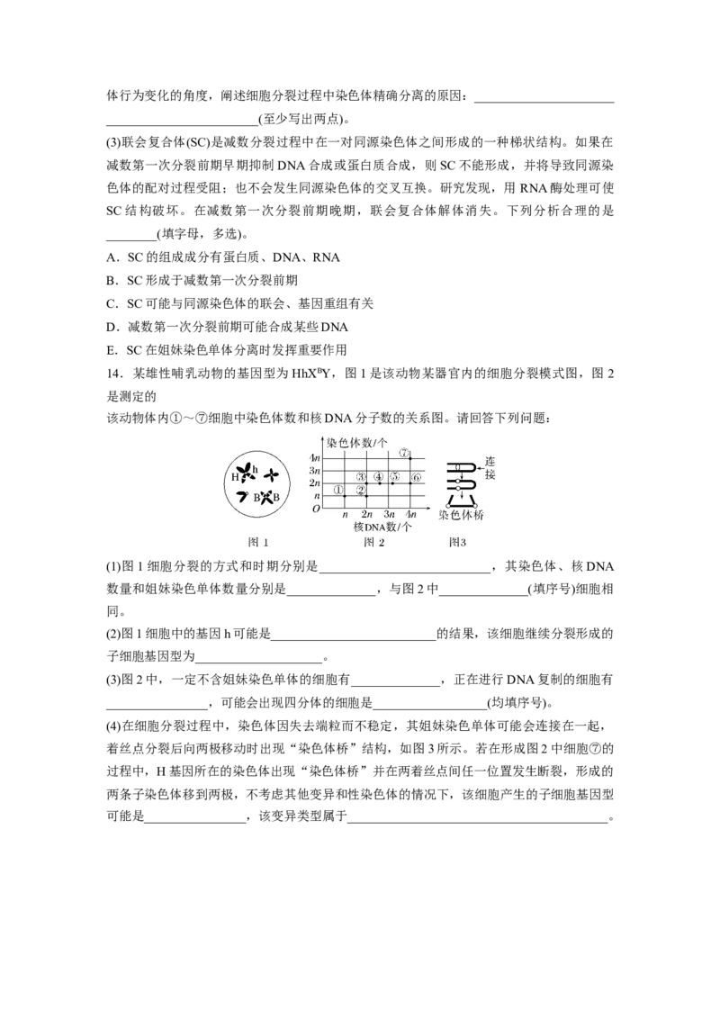 二轮专题强化练　训练3　细胞的生命历程_通用版（老高考）复习资料_2023年复习资料_二轮复习_2023年高考生物二轮复习讲义+课件（全国版）_2023年高考生物二轮复习讲义（全国版）_学生版