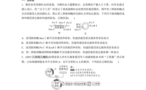 二轮专题强化练　训练10　现代生物科技专题_通用版（老高考）复习资料_2023年复习资料_二轮复习_2023年高考生物二轮复习讲义+课件（全国版）_2023年高考生物二轮复习讲义（全国版）