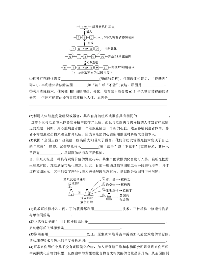 二轮专题强化练　训练10　现代生物科技专题_通用版（老高考）复习资料_2023年复习资料_二轮复习_2023年高考生物二轮复习讲义+课件（全国版）_2023年高考生物二轮复习讲义（全国版）