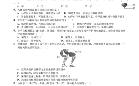 生物（苏州卷）（考试版A4）_初中全科电子版试卷练习试题_生物_2024中考模拟题生物(1)_二模_生物（苏州卷）-：2024年中考第二次模拟考试