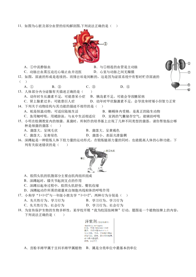 生物（苏州卷）（考试版A4）_初中全科电子版试卷练习试题_生物_2024中考模拟题生物(1)_二模_生物（苏州卷）-：2024年中考第二次模拟考试