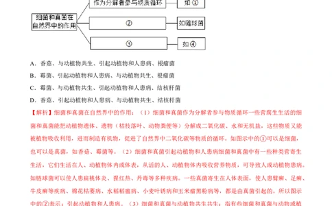 八年级上册生物期中测试02（解析版）_初中全科电子版试卷练习试题_生物_生物8上练习_人教生物8年级上期中试卷08份