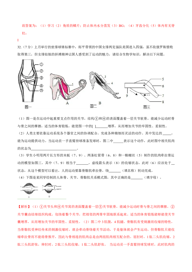 八年级上册生物期中测试02（解析版）_初中全科电子版试卷练习试题_生物_生物8上练习_人教生物8年级上期中试卷08份