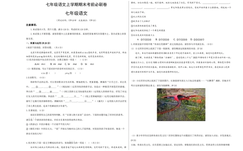 提升卷-七年级语文上册期末卷（河南专用）（考试版）_初中全科电子版试卷练习试题_语文_7上初中部编版语文练习、试卷_部编语文七年级上期末试卷（046份）_分地区期末卷