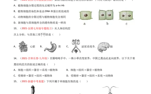 期末测试（B卷&middot;提升能力）（原卷版）_初中全科电子版试卷练习试题_生物_生物人教版7上练习&mdash;24新版已更新_人教生物7年级上期末试卷11份
