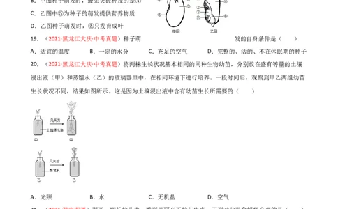 期末测试（B卷&middot;提升能力）（原卷版）_初中全科电子版试卷练习试题_生物_生物人教版7上练习&mdash;24新版已更新_人教生物7年级上期末试卷11份