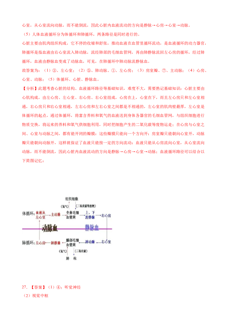 期末冲刺卷01-（人教版）（解析版）_初中全科电子版试卷练习试题_生物_生物人教版7下练习_人教生物7年级下期末试卷11份