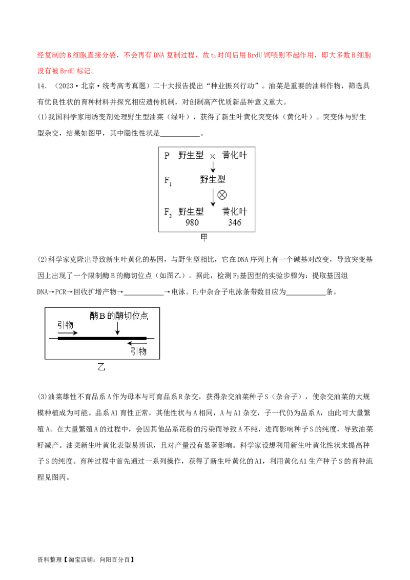 专题综合练11发酵工程、细胞工程和基因工程(解析版)_新高考复习资料_2024年新高考复习资料_一轮复习资料_完备战2024年高考生物一轮复习考点帮（新高考）_选择性必修3