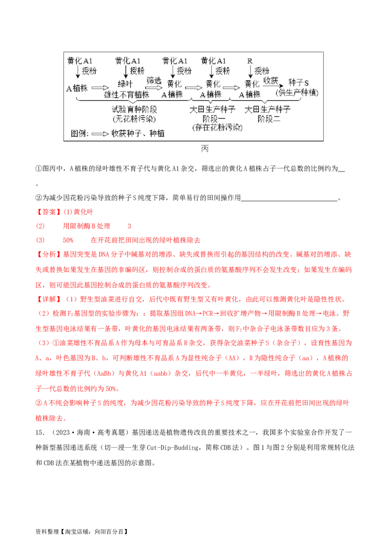 专题综合练11发酵工程、细胞工程和基因工程(解析版)_新高考复习资料_2024年新高考复习资料_一轮复习资料_完备战2024年高考生物一轮复习考点帮（新高考）_选择性必修3