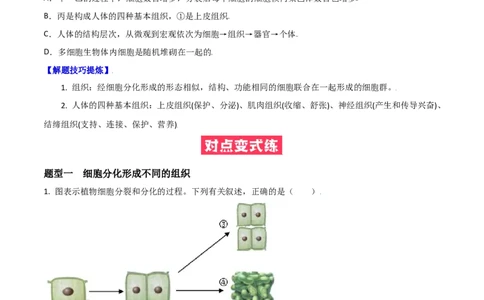必考点11动物体的结构层次-（人教版）（原卷版）_初中全科电子版试卷练习试题_生物_生物人教版7上练习&mdash;24新版已更新_人教生物7年级上专项练习28份