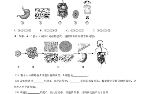 必考点11动物体的结构层次-（人教版）（原卷版）_初中全科电子版试卷练习试题_生物_生物人教版7上练习&mdash;24新版已更新_人教生物7年级上专项练习28份