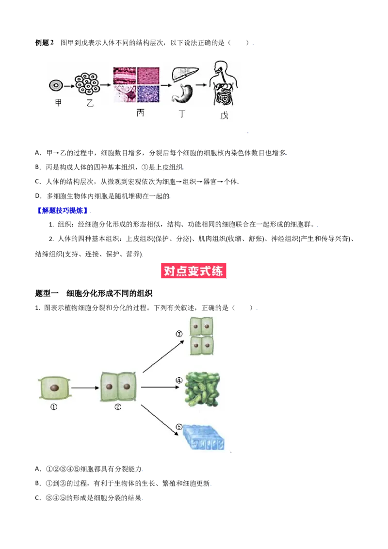 必考点11动物体的结构层次-（人教版）（原卷版）_初中全科电子版试卷练习试题_生物_生物人教版7上练习&mdash;24新版已更新_人教生物7年级上专项练习28份