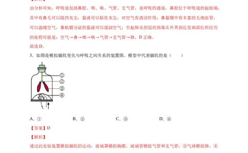 第三单元人体的呼吸（选拔卷）-单元测试（人教版）（解析版）_初中全科电子版试卷练习试题_生物_生物人教版7下练习_人教生物7年级下单元试卷33份