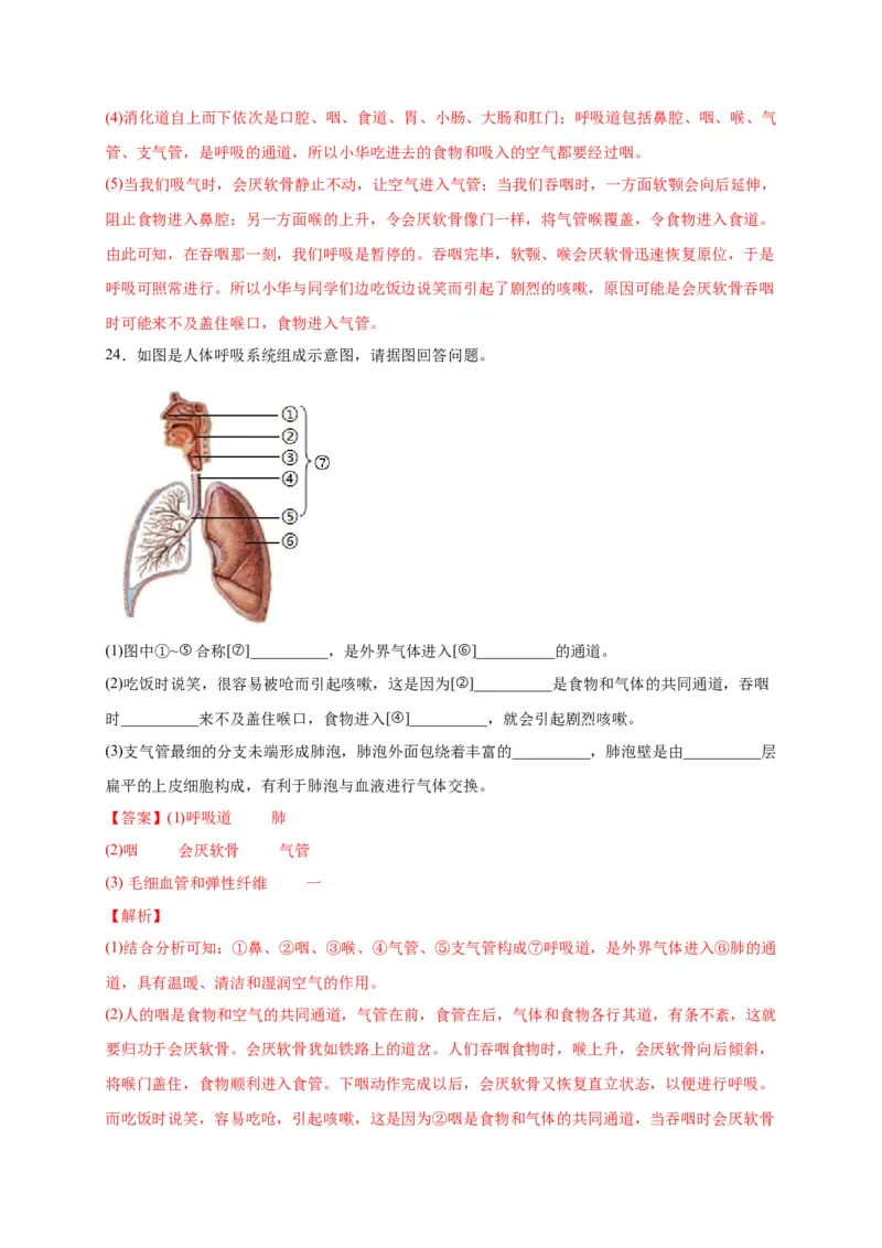 第三单元人体的呼吸（选拔卷）-单元测试（人教版）（解析版）_初中全科电子版试卷练习试题_生物_生物人教版7下练习_人教生物7年级下单元试卷33份