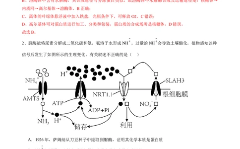 信息必刷卷01（江苏专用）（解析版）_2025年新高考资料_2025考前信息卷_2025年高考生物考前信息必刷卷（江苏专用）34423855
