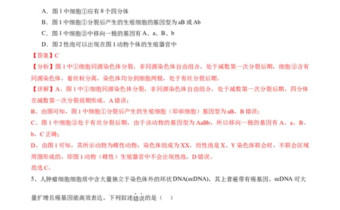 信息必刷卷01（江苏专用）（解析版）_2025年新高考资料_2025考前信息卷_2025年高考生物考前信息必刷卷（江苏专用）34423855