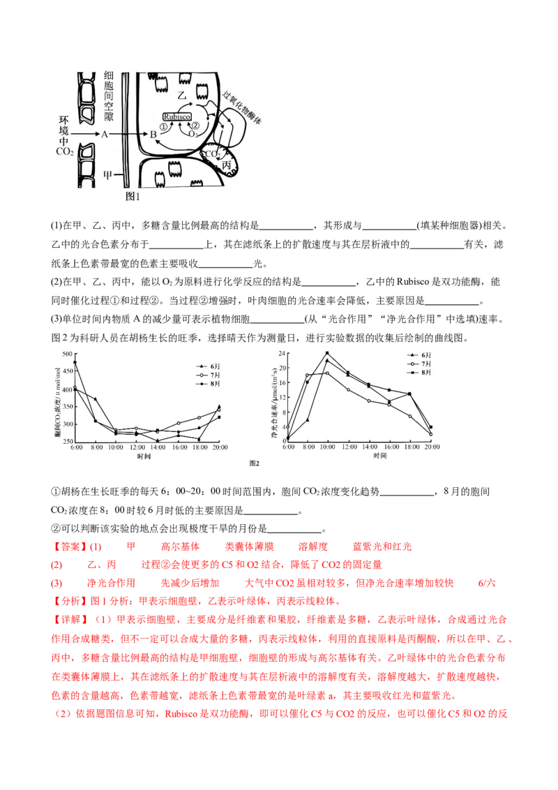 信息必刷卷01（江苏专用）（解析版）_2025年新高考资料_2025考前信息卷_2025年高考生物考前信息必刷卷（江苏专用）34423855