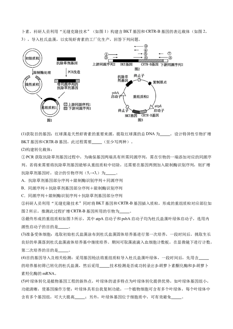 信息必刷卷01（江苏专用）（解析版）_2025年新高考资料_2025考前信息卷_2025年高考生物考前信息必刷卷（江苏专用）34423855