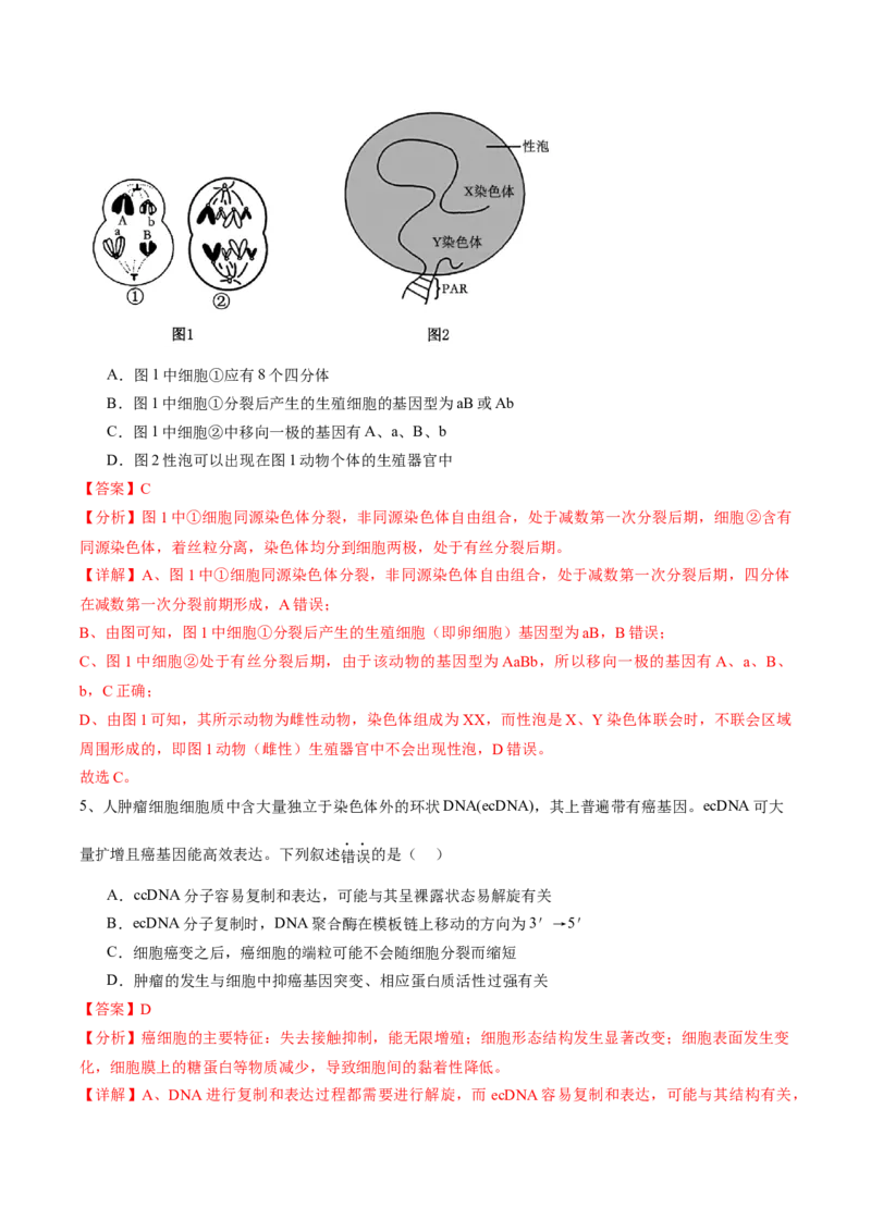 信息必刷卷01（江苏专用）（解析版）_2025年新高考资料_2025考前信息卷_2025年高考生物考前信息必刷卷（江苏专用）34423855