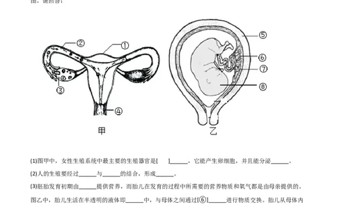 第一次月考（A卷.夯实基础）（原卷版）_初中全科电子版试卷练习试题_生物_生物人教版7下练习_人教生物7年级下月考试卷04份