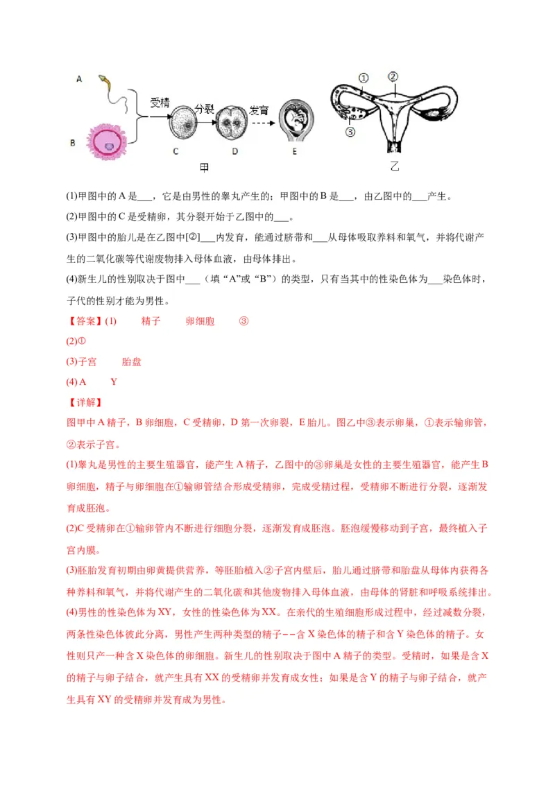 第一单元人的由来（选拔卷）-单元测试（人教版）（解析版）_初中全科电子版试卷练习试题_生物_生物人教版7下练习_人教生物7年级下单元试卷33份