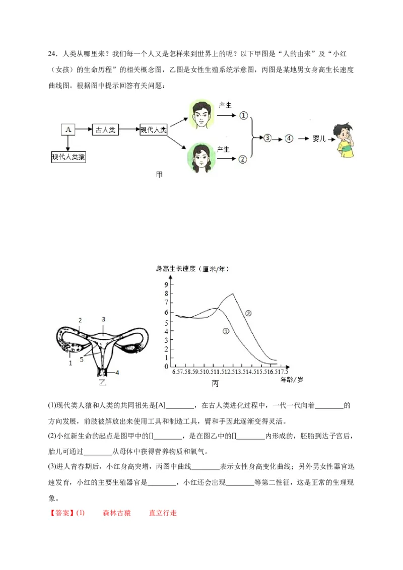 第一单元人的由来（选拔卷）-单元测试（人教版）（解析版）_初中全科电子版试卷练习试题_生物_生物人教版7下练习_人教生物7年级下单元试卷33份