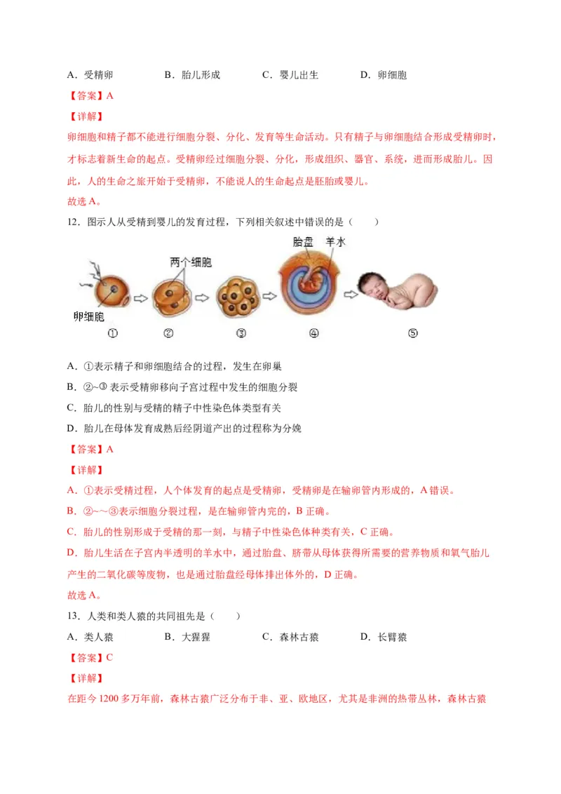第一单元人的由来（选拔卷）-单元测试（人教版）（解析版）_初中全科电子版试卷练习试题_生物_生物人教版7下练习_人教生物7年级下单元试卷33份