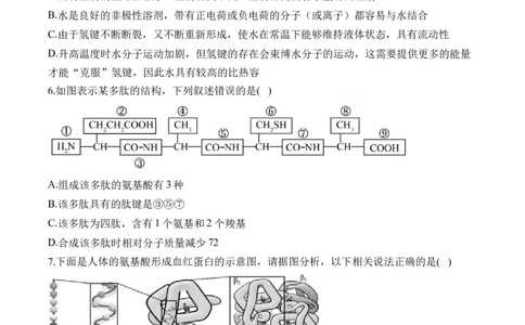 专题一细胞的分子组成&mdash;&mdash;2025届高考生物考点剖析（含解析）_2025年新高考资料_一轮复习_2025届高考生物一轮复习考点剖析练习（有解析）