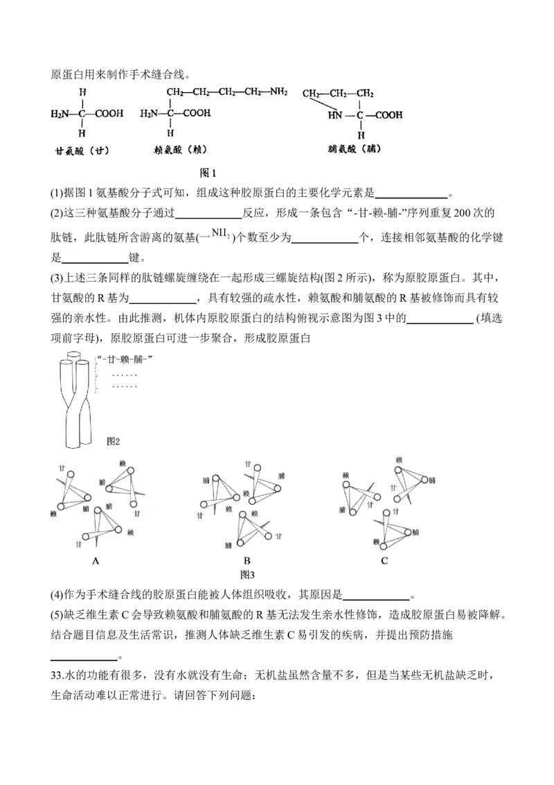 专题一细胞的分子组成&mdash;&mdash;2025届高考生物考点剖析（含解析）_2025年新高考资料_一轮复习_2025届高考生物一轮复习考点剖析练习（有解析）