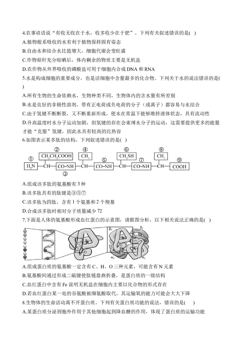 专题一细胞的分子组成&mdash;&mdash;2025届高考生物考点剖析（含解析）_2025年新高考资料_一轮复习_2025届高考生物一轮复习考点剖析练习（有解析）