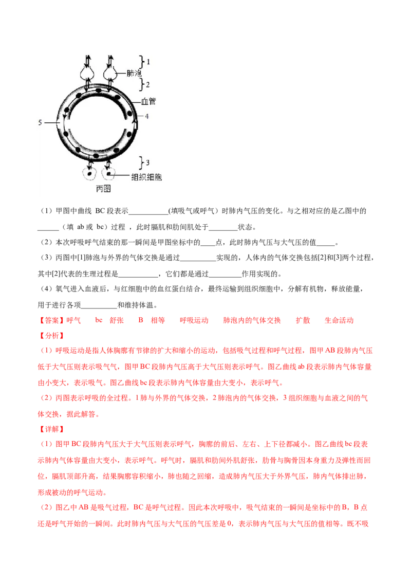 期末押题02-（人教版）（解析版）_初中全科电子版试卷练习试题_生物_生物人教版7下练习_人教生物7年级下期末试卷11份