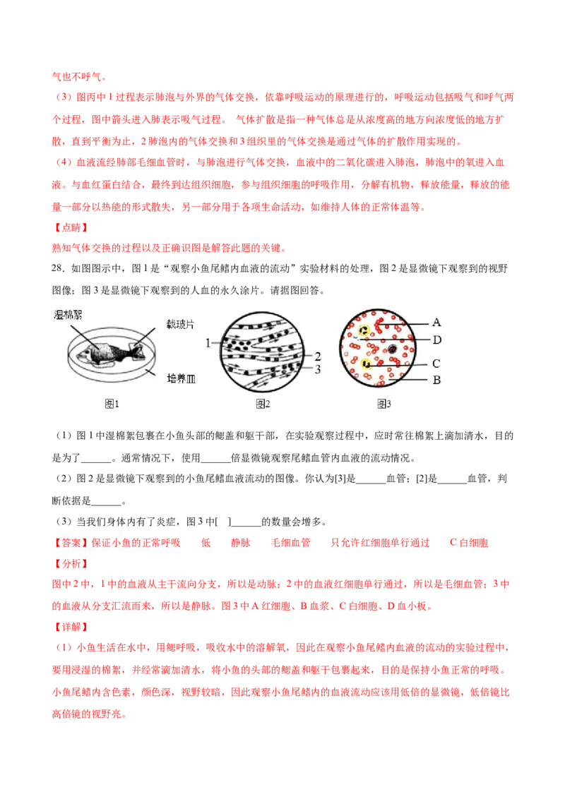 期末押题02-（人教版）（解析版）_初中全科电子版试卷练习试题_生物_生物人教版7下练习_人教生物7年级下期末试卷11份