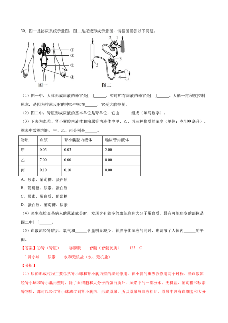 期末押题02-（人教版）（解析版）_初中全科电子版试卷练习试题_生物_生物人教版7下练习_人教生物7年级下期末试卷11份