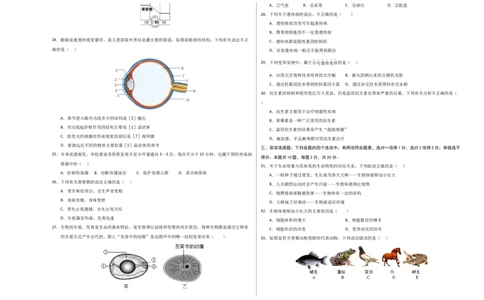 生物（南京卷）（考试版A3）_初中全科电子版试卷练习试题_生物_2024中考模拟题生物(1)_三模（37套）_生物（南京卷）