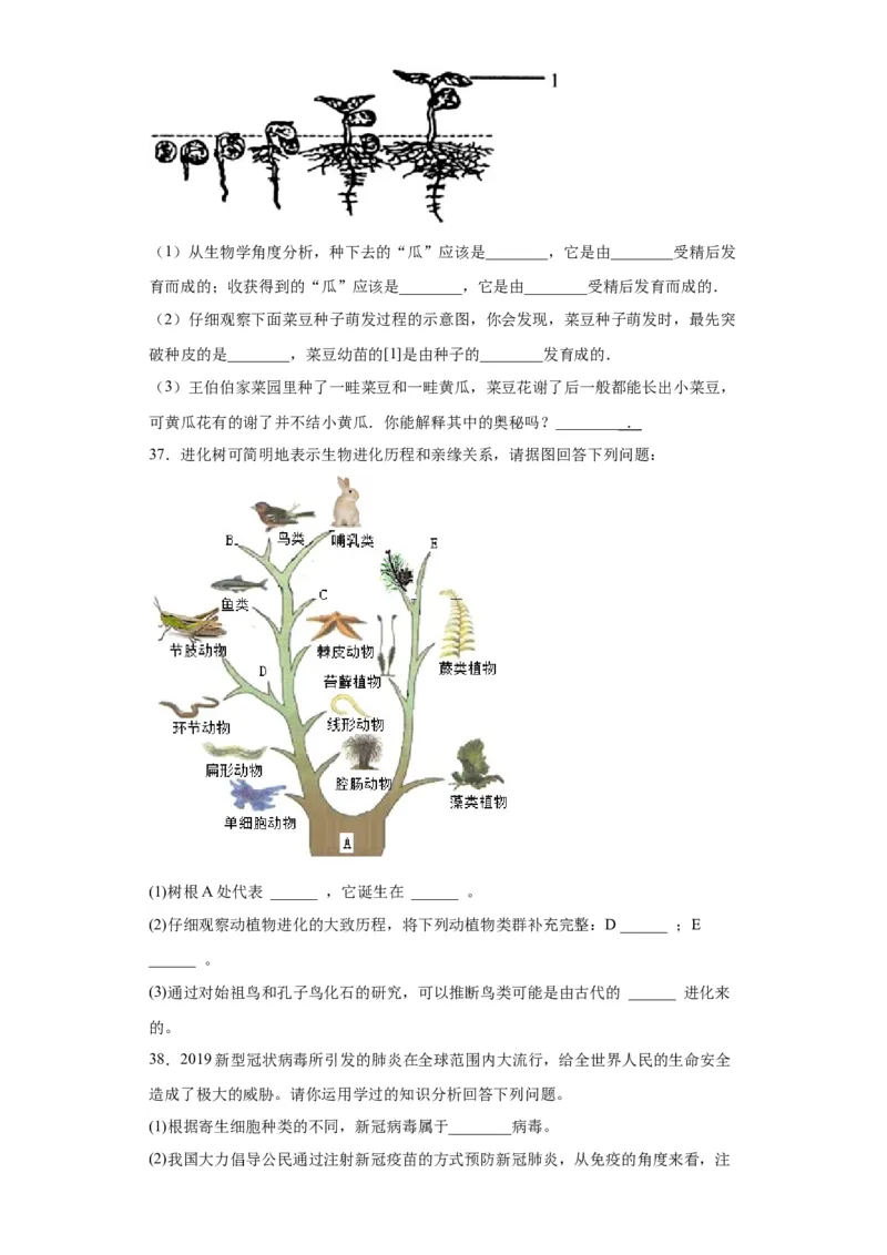 卷02-八年级生物下学期期末综合测试卷（人教版）（原卷版）_new_初中全科电子版试卷练习试题_生物_生物8下练习_人教生物8年级下期末试卷12份