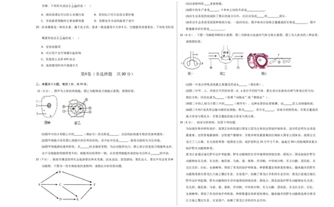 生物（河南卷）（考试版A3）_初中全科电子版试卷练习试题_生物_2024中考模拟题生物(1)_一模_生物（河南卷）-2024年中考第一次模拟考试