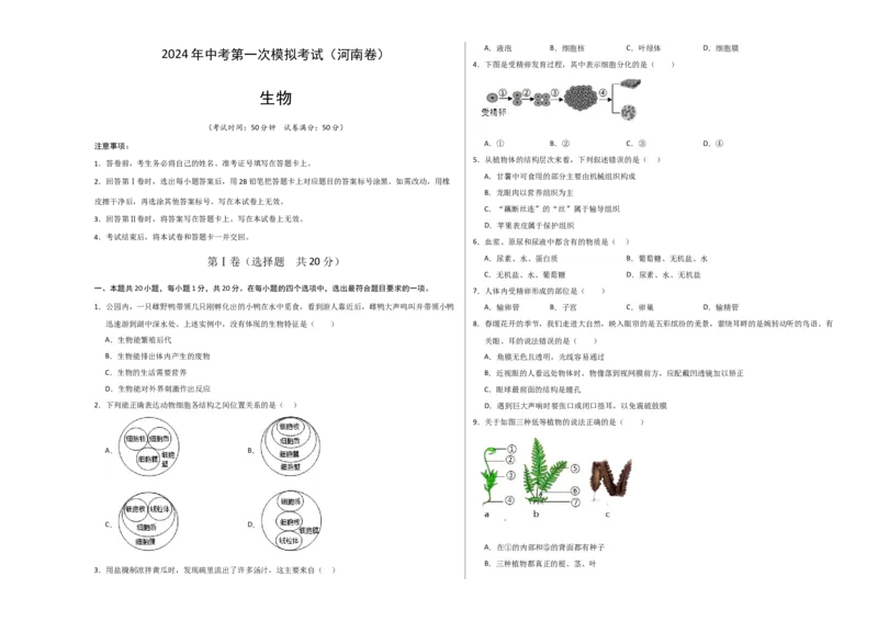 生物（河南卷）（考试版A3）_初中全科电子版试卷练习试题_生物_2024中考模拟题生物(1)_一模_生物（河南卷）-2024年中考第一次模拟考试