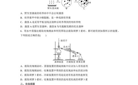 二轮专题强化练　训练11　生物技术实践_通用版（老高考）复习资料_2023年复习资料_二轮复习_2023年高考生物二轮复习讲义+课件（全国版）_2023年高考生物二轮复习讲义（全国版）_学生版