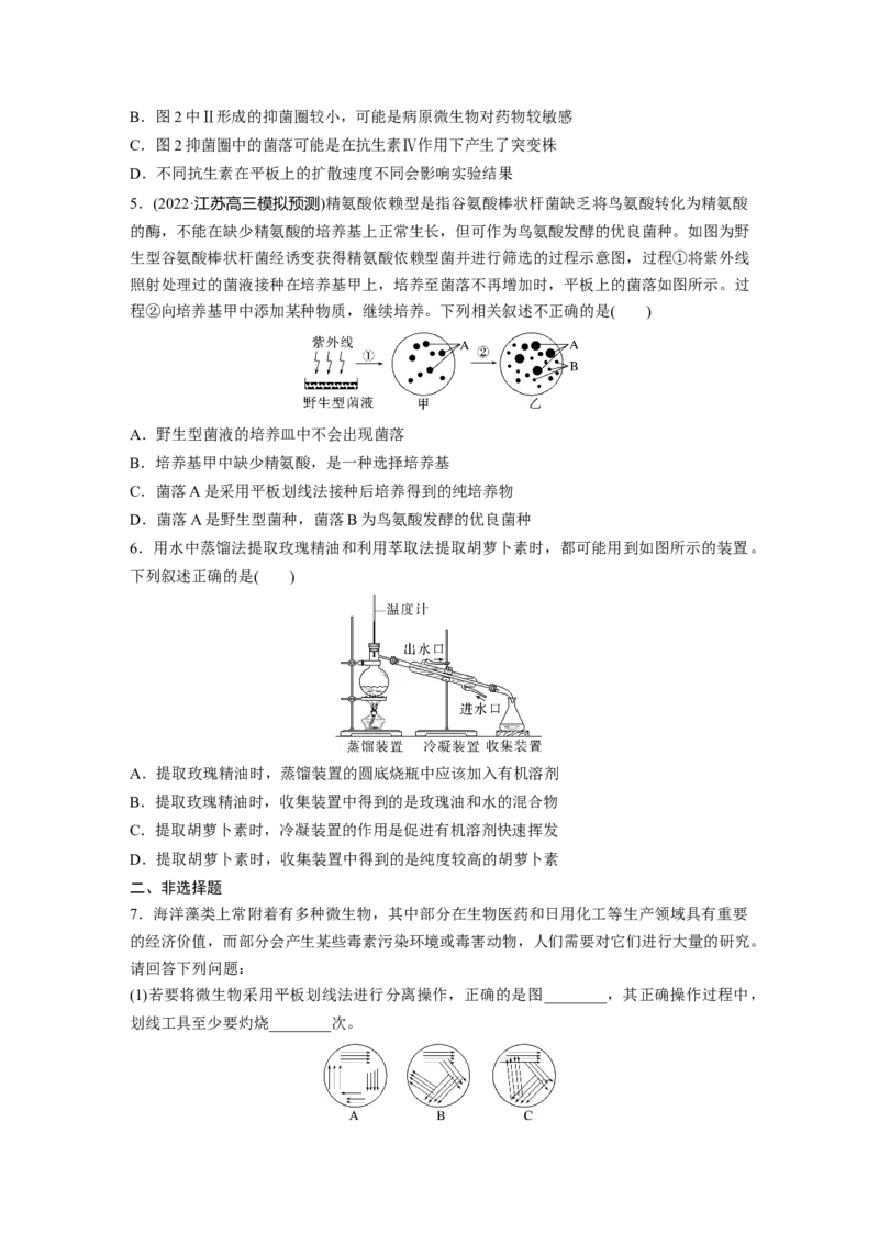 二轮专题强化练　训练11　生物技术实践_通用版（老高考）复习资料_2023年复习资料_二轮复习_2023年高考生物二轮复习讲义+课件（全国版）_2023年高考生物二轮复习讲义（全国版）_学生版