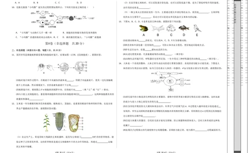 生物（徐州卷）（考试版A3）_初中全科电子版试卷练习试题_生物_2024中考模拟题生物(1)_二模_生物（徐州卷）-：2024年中考第二次模拟考试