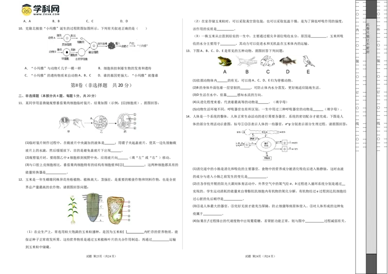 生物（徐州卷）（考试版A3）_初中全科电子版试卷练习试题_生物_2024中考模拟题生物(1)_二模_生物（徐州卷）-：2024年中考第二次模拟考试