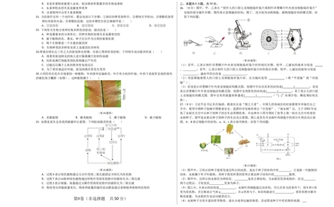 生物（济南卷）（考试版A3）_初中全科电子版试卷练习试题_生物_2024中考模拟题生物(1)_三模（37套）_生物（济南卷）