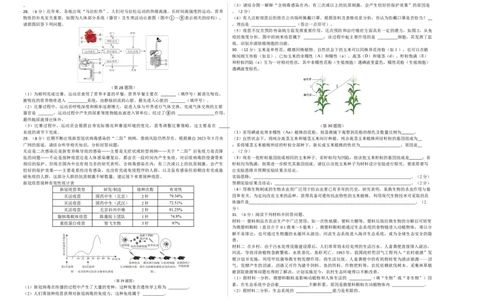 生物（济南卷）（考试版A3）_初中全科电子版试卷练习试题_生物_2024中考模拟题生物(1)_三模（37套）_生物（济南卷）