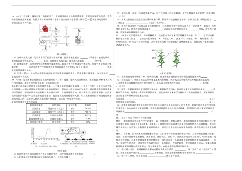 生物（济南卷）（考试版A3）_初中全科电子版试卷练习试题_生物_2024中考模拟题生物(1)_三模（37套）_生物（济南卷）