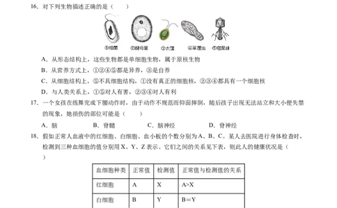 生物（江西卷）（考试版A4）_初中全科电子版试卷练习试题_生物_2024中考模拟题生物(1)_二模_生物（江西卷）-：2024年中考第二次模拟考试