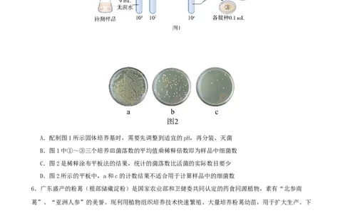 专题八生物技术与工程（原卷版）_2025年新高考资料_二轮复习_上好课2025年高考生物二轮复习讲练测（新高考通用）3380526