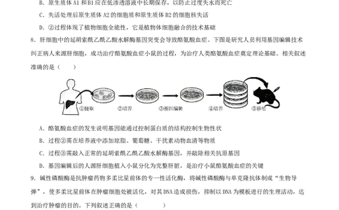 专题八生物技术与工程（原卷版）_2025年新高考资料_二轮复习_上好课2025年高考生物二轮复习讲练测（新高考通用）3380526