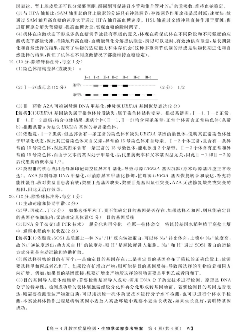 2026届安徽皖南八校高三4月教学质量检测生物_26生物学-皖八三联DA_2024-2026高三（6-6月题库）_2026年04月高三试卷_260418安徽皖南八校2026届高三下学期4月教学质量检测（全科）